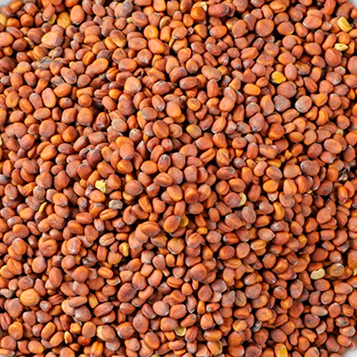 Lai Fu Zi