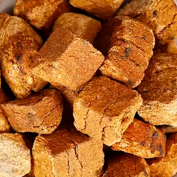 Medicata Massa Fermentata 