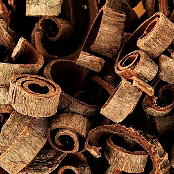 Magnoliae Officinalis Cortex