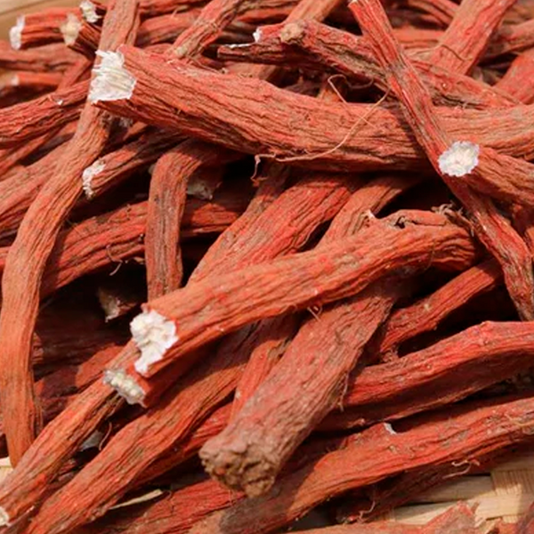 Salviae Miltiorrhizae Radix et Rhizoma 