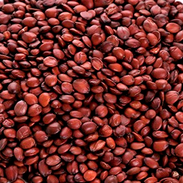 Ziziphi Spinosae Semen 