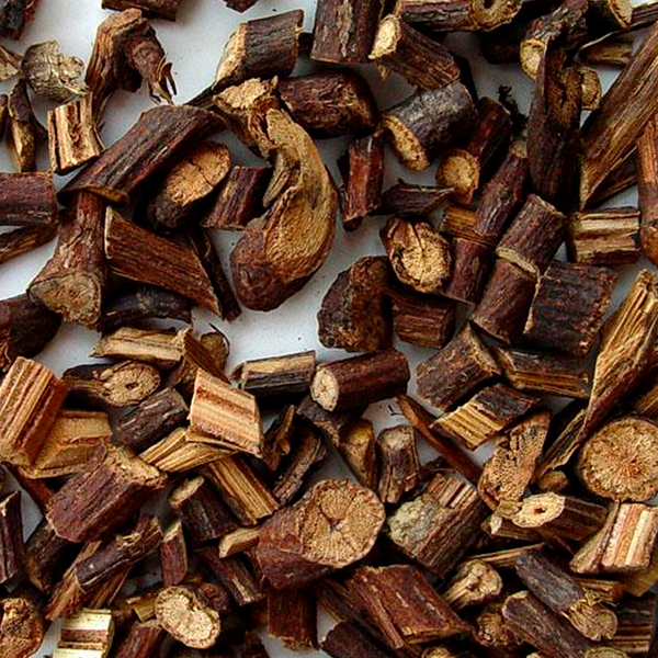 Polygoni Multiflori Caulis 