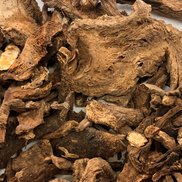 Angelicae Pubescentis Radix 