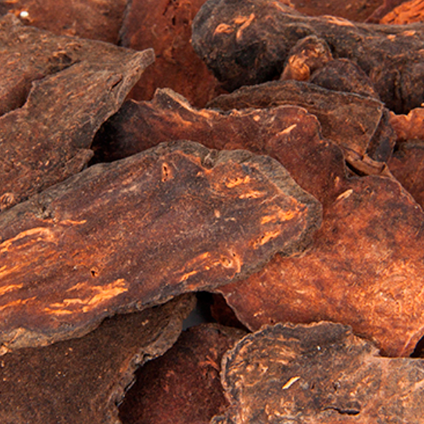 Polygoni Multiflori Radix 