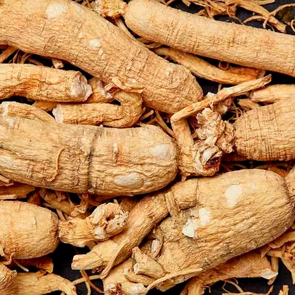 Ginseng Radix et Rhizoma 