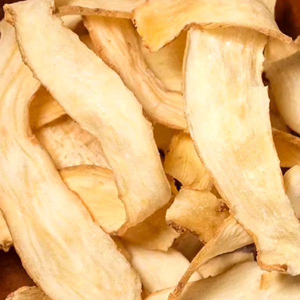 Polygonati Odorati Rhizoma